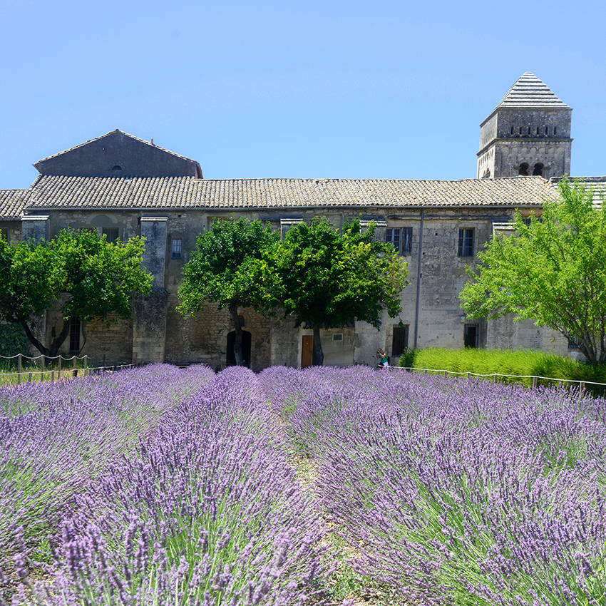 Monastery Saint-Paul-de-Mausole